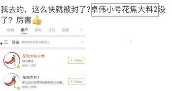 宋哲最新爆料微博号,揭秘娱乐圈最新幕后真相！”
