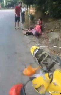 丰顺事故爆料最新消息,揭秘事故真相与后续处理情况